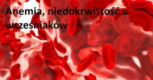 Anemia, niedokrwistość u wcześniaków 