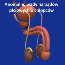 Anomalie, wady narządów płciowych u chłopców