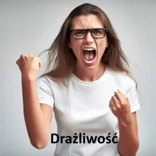 Drażliwość, emocje, nastrój, stres, reakcja, impulsywność, agresja, nerwowość, irytacja, frustracja