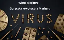 Gorączka krwotoczna Marburg, wirus Marburg 