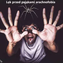 Lęk przed pająkami arachnofobia
