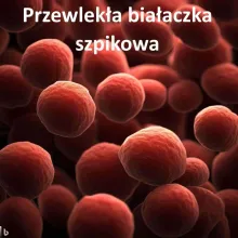 Przewlekła białaczka szpikowa