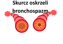 Skurcz oskrzeli, bronchospazm