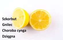 Szkorbut gnilec, choroba cynga, dzięgna