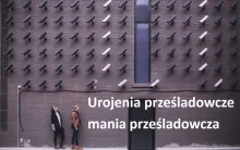 Urojenia prześladowcze, mania prześladowcza