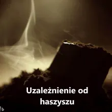 Uzależnienie od haszyszu, haszu