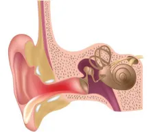 Zapalenie błędnika 