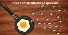 kolor i smak zdrowego nasienia