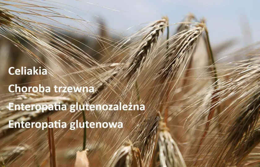 Celiakia, choroba trzewna, enteropatia glutenowa, enteropatia glutenozależna