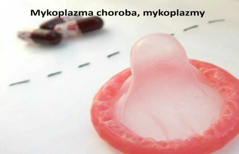 Mykoplazmy, mykoplazmoza 