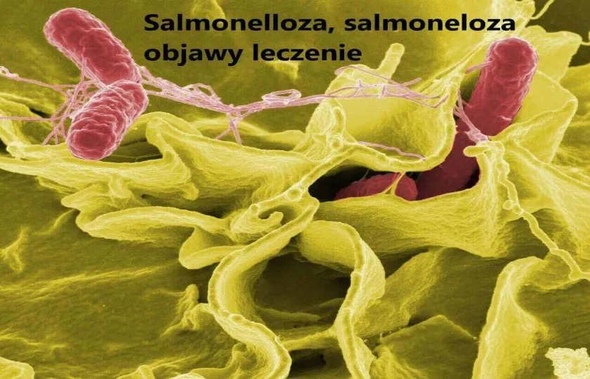 Salmonelloza, salmoneloza