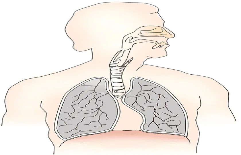 Ziarniniak płuc 