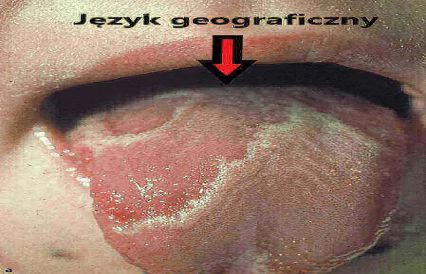 Język geograficzny
